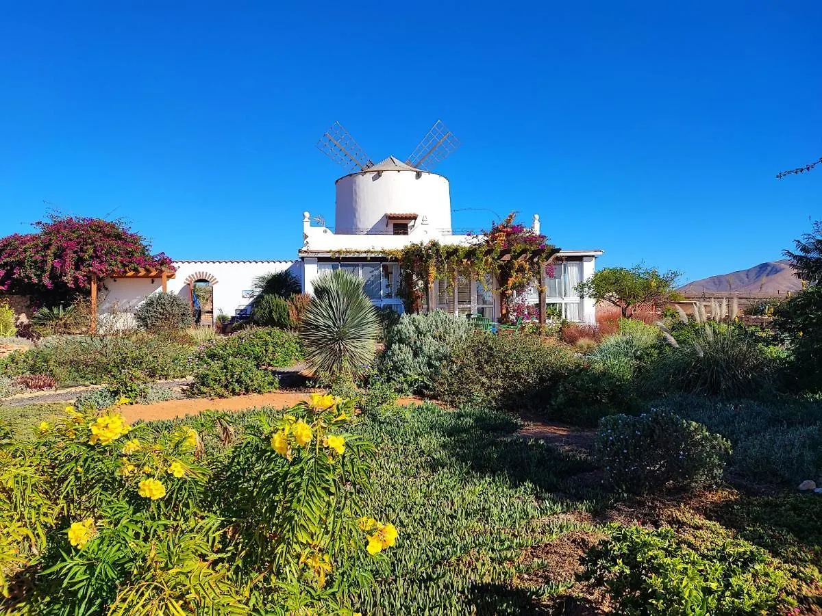 Finca El Molino B&B Fuerteventura Hospinal Spanien