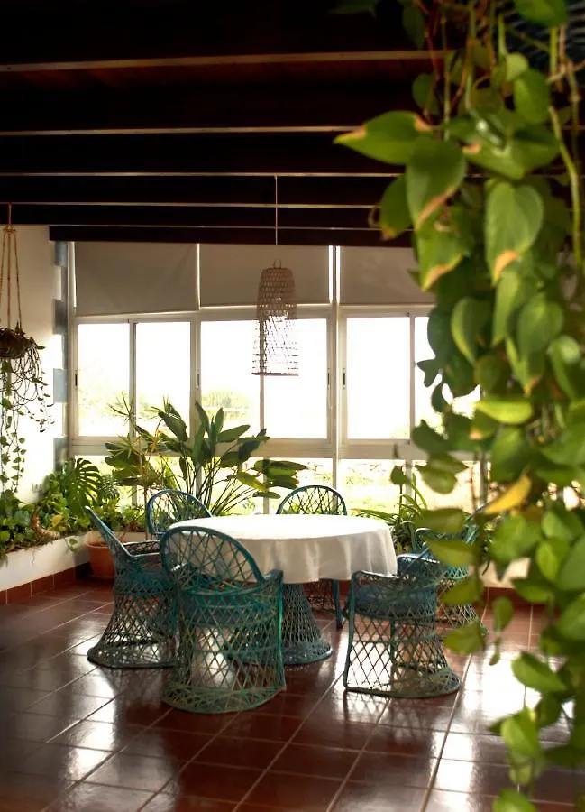 Frühstückspension Finca El Molino B&B Fuerteventura Hospinal